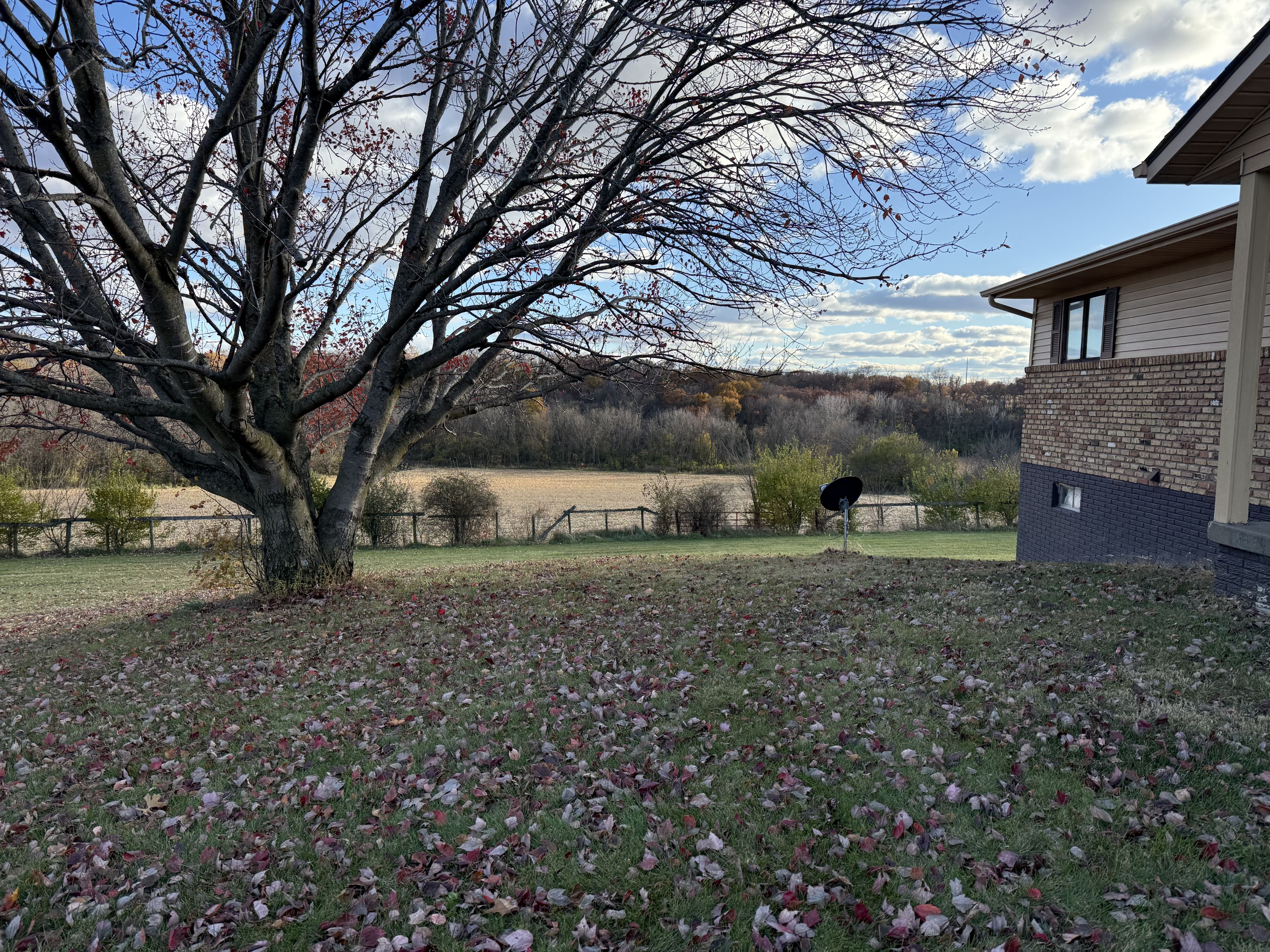 Listing Photo: Photo Nov 09 2025, 3 20 23 PM